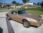 1977 Pontiac Firebird Picture 2