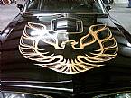 1977 Pontiac Trans Am Picture 2