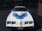 1979 Pontiac Trans Am Picture 2