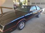 1986 Chevrolet Monte Carlo Picture 2