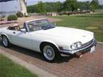 1988 Jaguar XJS Picture 2