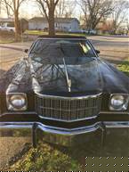 1975 Ford Gran Torino Picture 2