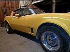 1981 Chevrolet Corvette Picture 2