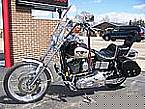 1998 Other H-D 95th Anniversary Picture 2