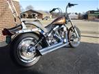 1999 Other H-D Custom FXSTC Picture 2