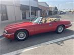 1994 Jaguar XJS Picture 2