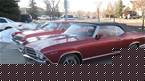 1969 Chevrolet Chevelle Picture 2