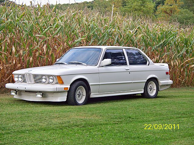 1981 Bmw 528i springs