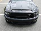 2008 Ford Shelby Picture 2