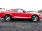 2007 Ford Shelby Picture 2
