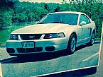 2004 Ford Mustang Picture 2