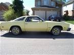 1977 Oldsmobile Cutlass Picture 2