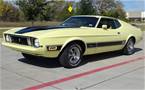 1973 Ford Mustang Picture 2