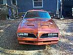 1977 Pontiac Firebird Picture 2