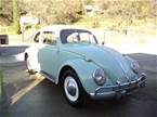 1964 Volkswagen Beetle Picture 2