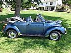 1973 Volkswagen Super Beetle Picture 2