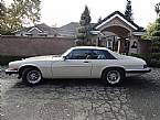 1986 Jaguar XJS Picture 2