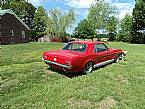 1966 Ford Mustang Picture 2