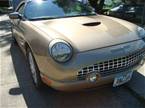 2005 Ford Thunderbird Picture 2