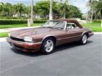 1995 Jaguar XJS Picture 2