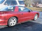 1995 Pontiac Firebird Picture 2