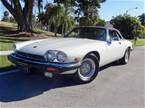 1990 Jaguar XJS Picture 2