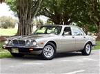 1987 Jaguar XJ6 Picture 2