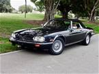 1990 Jaguar XJS Picture 2