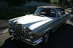 1968 Mercedes 250SE Picture 2