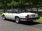 1986 Jaguar XJSC Picture 2