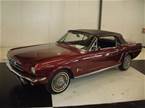 1965 Ford Mustang Picture 2