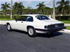 1992 Jaguar XJS Picture 2