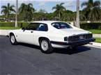 1992 Jaguar XJS Picture 2