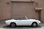 1969 Alfa Romeo Spider Picture 2