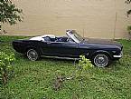 1964.5 Ford Mustang Picture 2
