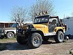 1955 Jeep Willys Picture 2