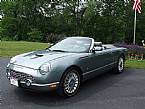 2004 Ford Thunderbird Picture 2