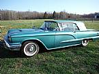 1960 Ford Thunderbird Picture 2