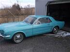 1964 1/2 Ford Mustang Picture 2