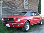 1966 Ford Mustang Picture 2