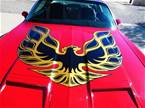 1978 Pontiac Firebird Picture 2