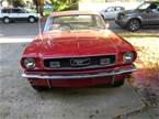 1966 Ford Mustang Picture 2