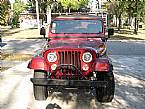 1981 Jeep CJ7 Picture 2