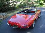 1967 Alfa Romeo Duetto Picture 2