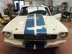 1966 Ford Shelby Picture 2
