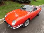 1967 Fiat Spyder Picture 2