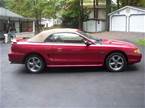 1998 Ford Mustang Picture 2