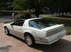 1984 Pontiac Trans Am Picture 2