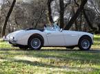 1964 Austin Healey MK3 Picture 2