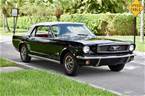 1966 Ford Mustang Picture 2